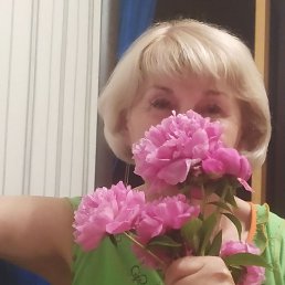 , 65,  