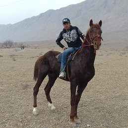 ����, �����������, 34 ����