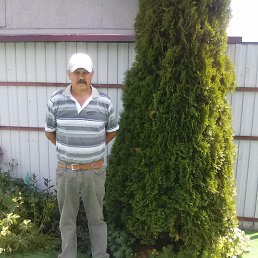 ����, ������, 68 ���