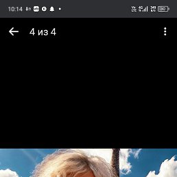 , 53, 