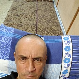 , 52, 