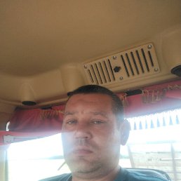 , 37, 