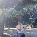 ���� ������, �������� - ��������� 8 ������� 2026 � ������ ���� ����������