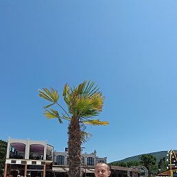 ���� ����, �����, 38 ��� - ��������� 30 ������ 2024