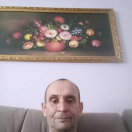 �����, 45 ���, ���������