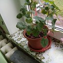 ���� ������, ���������, 64 ���� - ��������� 19 ������ 2026 � ������ ���� ����������