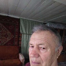 �����, 65 ���, ������