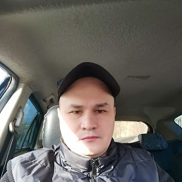 , 37, 