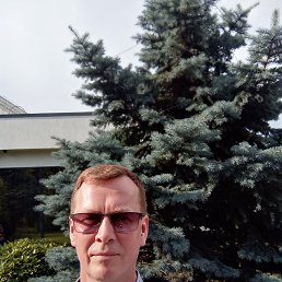 , 50, 
