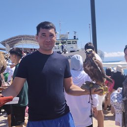 , 37, 