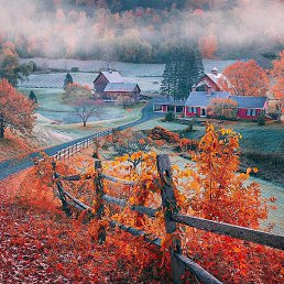 Farhod, �����, 43 ����