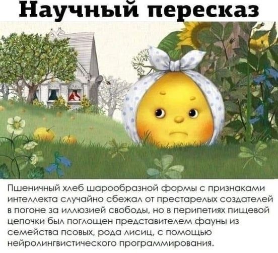   - 23  2024  11:50