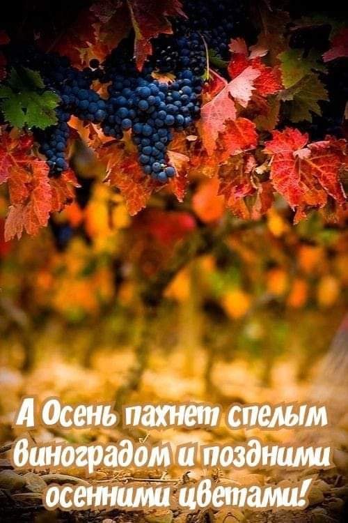  - 21  2024  13:48