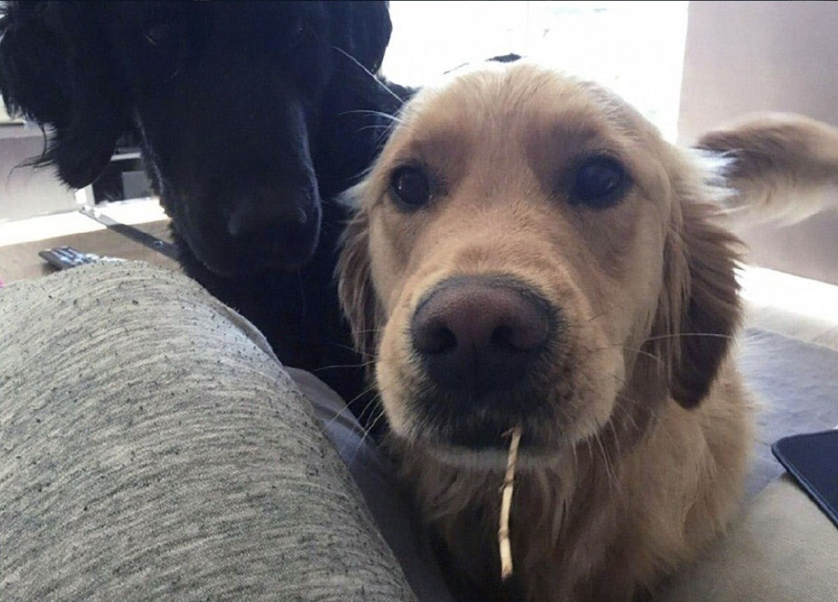        , ,    ,    ...