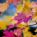 ���� �������, ������ - ��������� 7 ������ 2026 � ������ ������ ��������