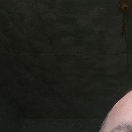 ˸, -, 42 
