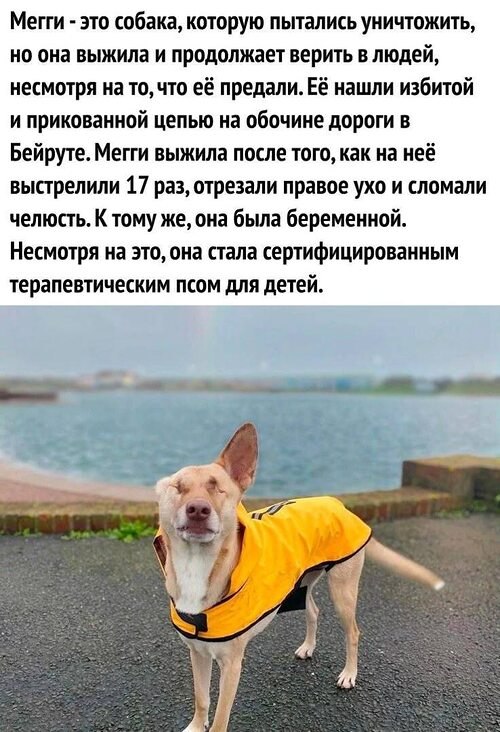   ! - 1  2025  14:09
