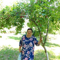 , 65, 