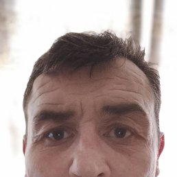 ������� �������, 46 ���, ������������