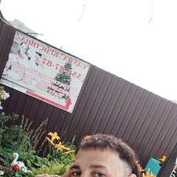 , 29, 