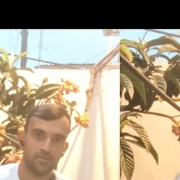 Turqut, 25, 