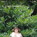 ���� ����, ������, 62 ���� - ��������� 20 ������ 2024