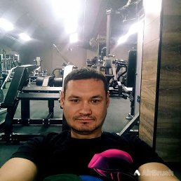 , 37 , 