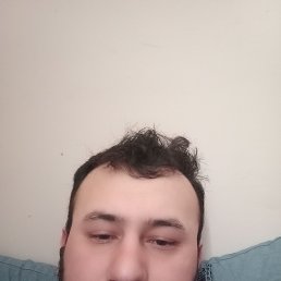 , 29, 