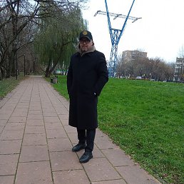 ����, ������, 43 ����