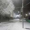 ���� �����, ����, 41 ��� - ��������� 29 ������ 2024 � ������ ���� ����������