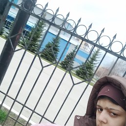 ����, 20 ���, ������