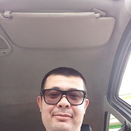 farxod, 33, 
