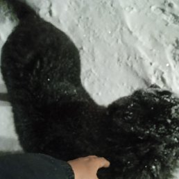 ���� ����, ������, 45 ��� - ��������� 2 ������� 2024