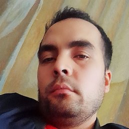 ������, ������, 33 ����