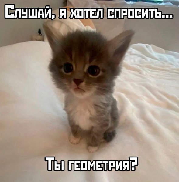 T oo ae, oy o cy