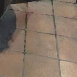 ������, �����-���������, 57 ���