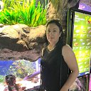 ���� �����, ������, 43 ���� - ��������� 31 ������ 2024 � ������ ���� ����������