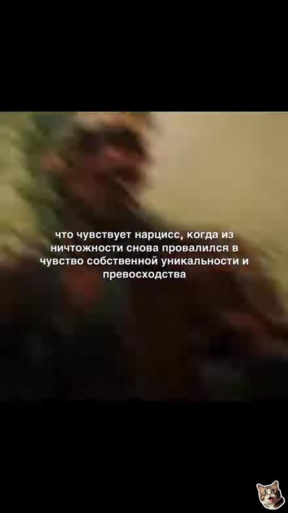 ����� � ������ ����� �������� ���� - 2