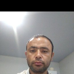 , 37, 