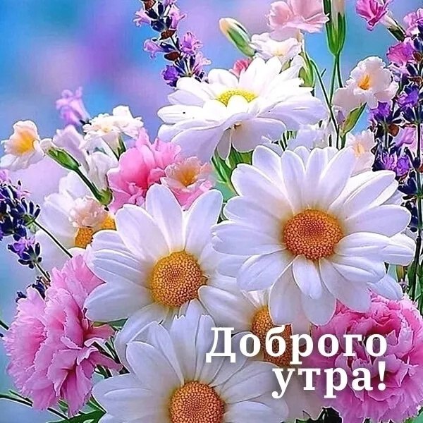  - 3  2025  08:11