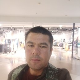 , 33, 