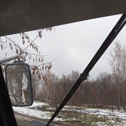 ���� �����, �����������, 52 ���� - ��������� 5 ������ 2023