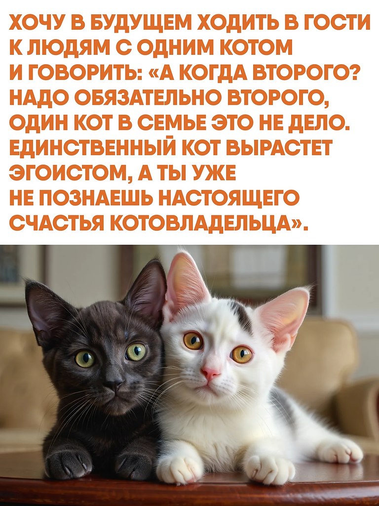        .     ,   ...