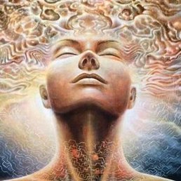 �����������, ������, 67 ���