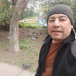 ����, 40 ���, ���������