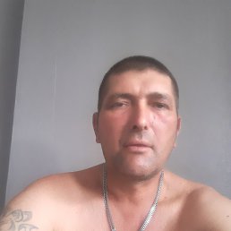 , 42, 