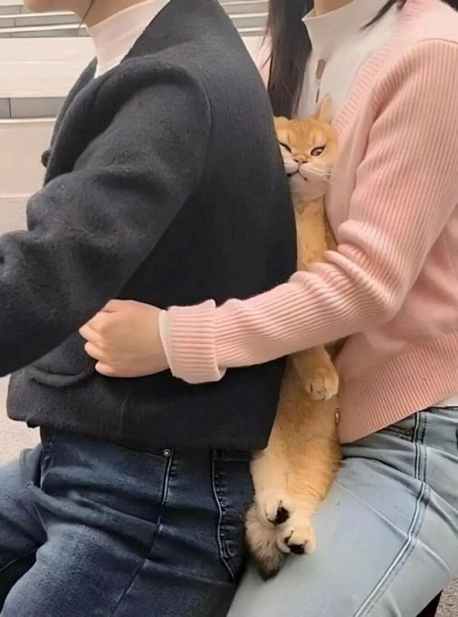  ...)