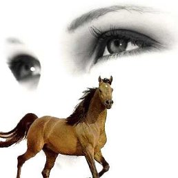 ���� �������, ������������, 47 ��� - ��������� 14 ������� 2023