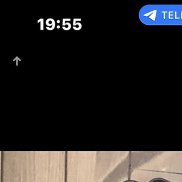 ������, 20 ���, �������������