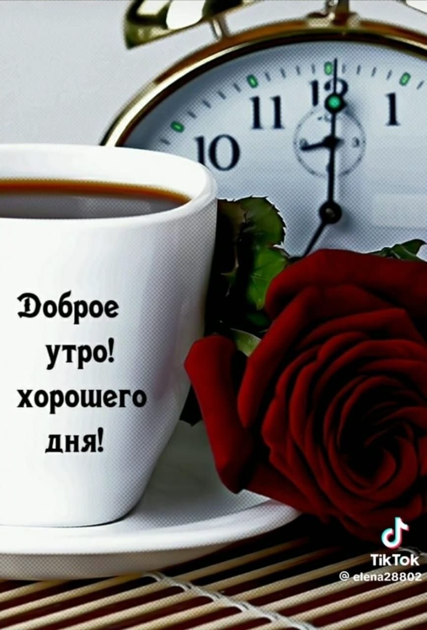 ***Victoria Viktorovna*** - 4  2025  09:01 - 2